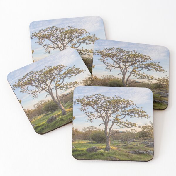 Item preview, Oak Tree Garden  designed and sold by Ernie Steven Dickey.