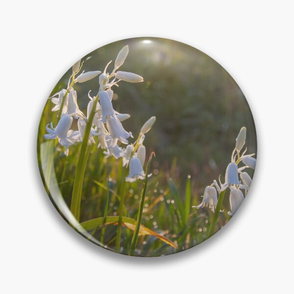 Item preview, Sunrise Blooms  designed and sold by Ernie Steven Dickey.