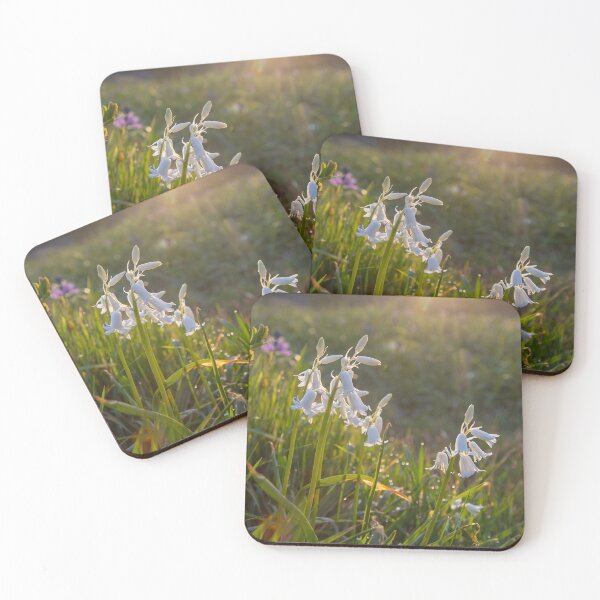 Item preview, Sunrise Blooms  designed and sold by Ernie Steven Dickey.