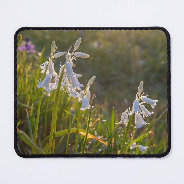 Item preview, Sunrise Blooms  designed and sold by Ernie Steven Dickey.