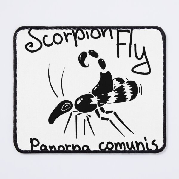 Item preview, White Line Art Scorpion Fly Panorpa Communis Insect Illustration designed and sold by RawTaxonomy.