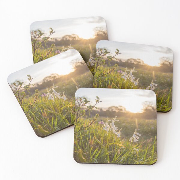 Item preview, Beautiful Sunrise Blooms  designed and sold by Ernie Steven Dickey.