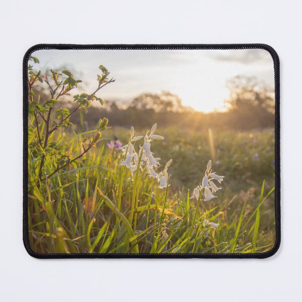 Item preview, Beautiful Sunrise Blooms  designed and sold by Ernie Steven Dickey.