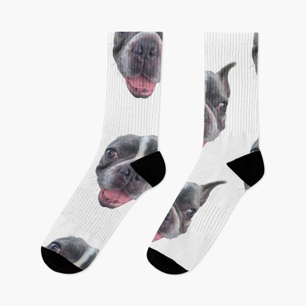 Item preview, Jax ( French bulldog) designed and sold by addierayzart25.