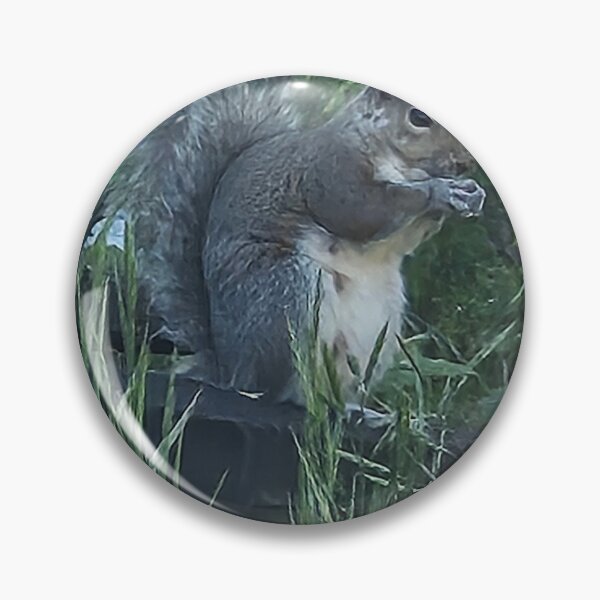 Item preview, squirrel eating designed and sold by gracehopelove.