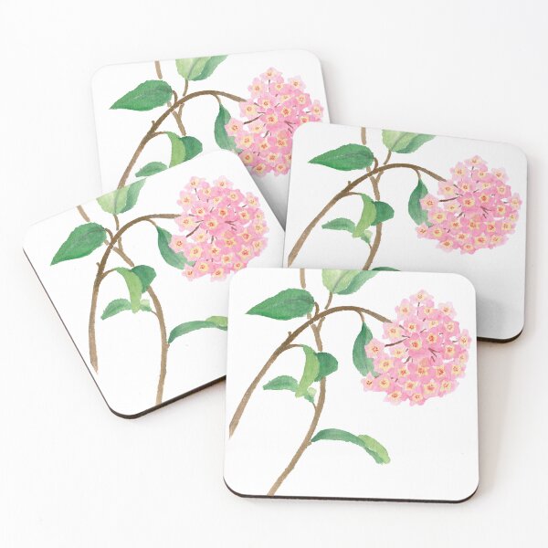 Item preview, March 21st birthday flower Hoya designed and sold by birthflower.