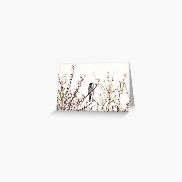 Item preview, Honeyeater designed and sold by Amy Dee.