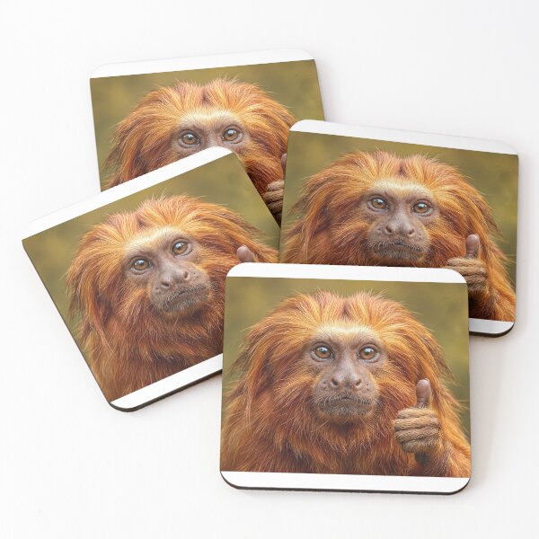 Item preview, Golden-Lion-Tamarin (Mico-Leão-Dourado) designed and sold by Caiprus.