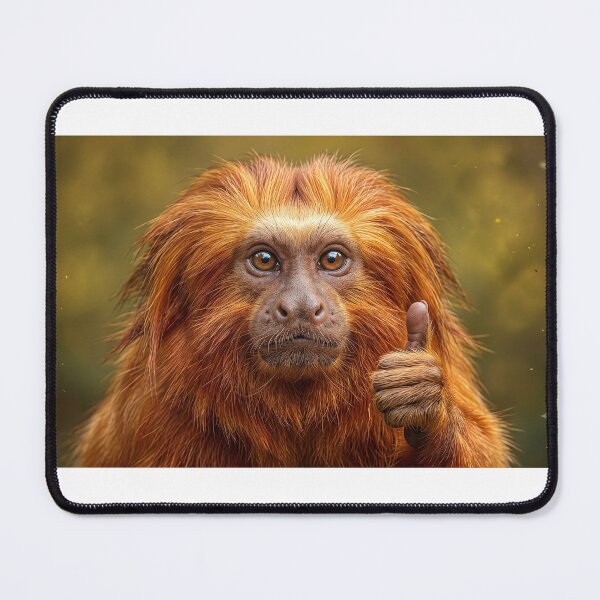 Item preview, Golden-Lion-Tamarin (Mico-Leão-Dourado) designed and sold by Caiprus.