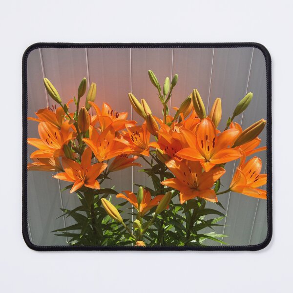 Item preview, Exuberant Orange Lilies  designed and sold by Amanda1775.