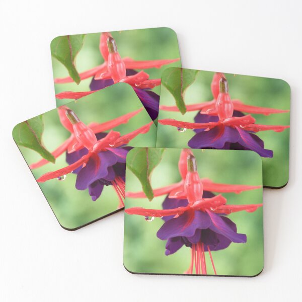 Item preview, Fuchsia  FuchsiaBerry designed and sold by Chris Burrows.