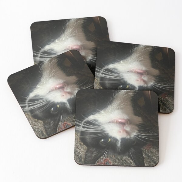 Item preview, Goofy Molly Joan LeMeowski designed and sold by Nujay.
