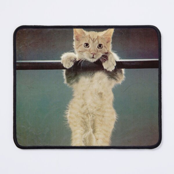 Item preview, Original “Hang in there” cat designed and sold by DarrylHankins.