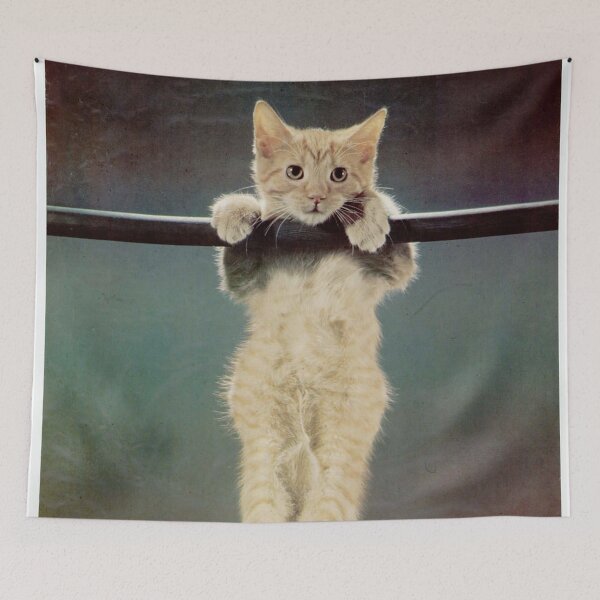 Item preview, Original “Hang in there” cat designed and sold by DarrylHankins.