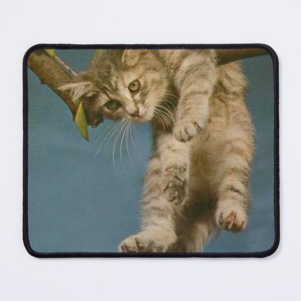 Item preview, hang in there designed and sold by DarrylHankins.