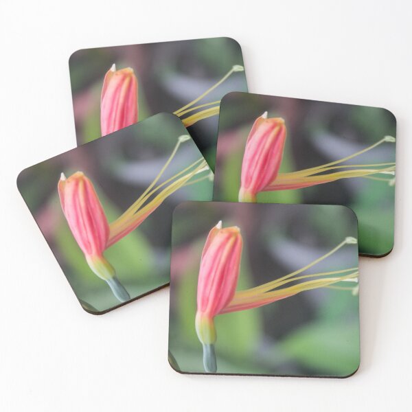 Item preview, Peruvian Lily_02 designed and sold by ROSE ANN BANILAR.