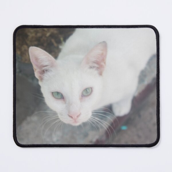 Item preview, Soft_White Cat designed and sold by ROSE ANN BANILAR.