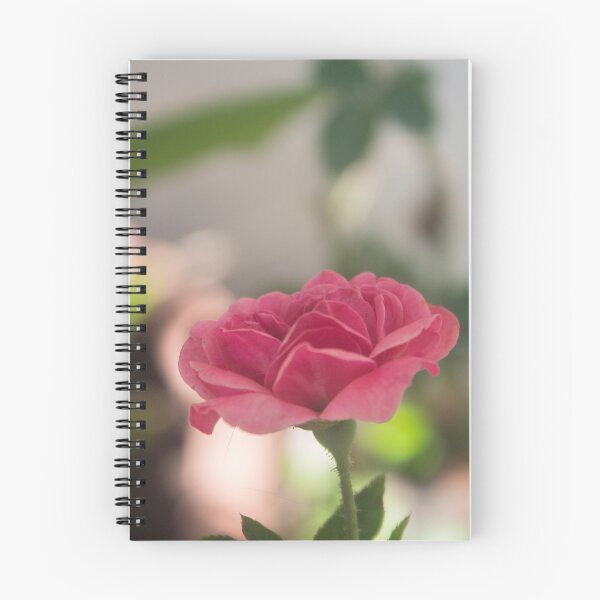 Item preview, Pink Rose designed and sold by ROSE ANN BANILAR.