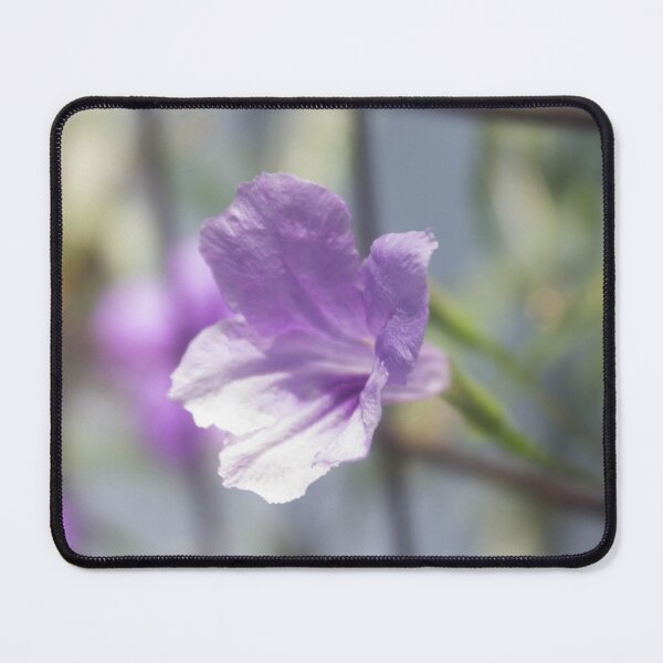 Item preview, Wild Petunia or Mexican Petunia designed and sold by ROSE ANN BANILAR.