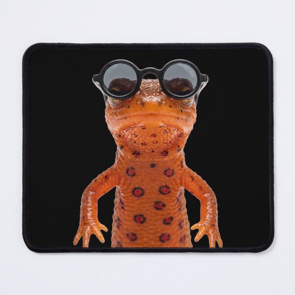 Item preview, Cute Baby Eastern Newt Wearing Sunglasses Funny designed and sold by RareLavender.