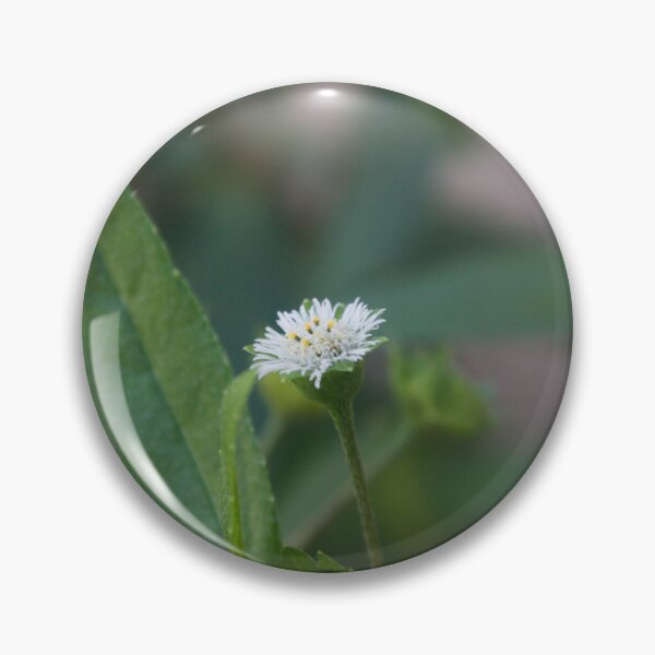 Item preview, False Daisy designed and sold by ROSE ANN BANILAR.