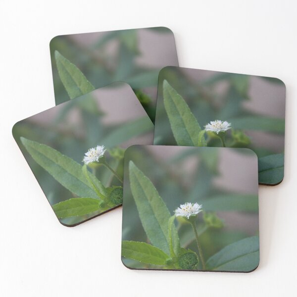 Item preview, False Daisy designed and sold by ROSE ANN BANILAR.