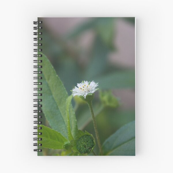 Item preview, False Daisy designed and sold by ROSE ANN BANILAR.