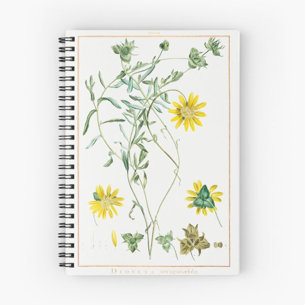 Item preview, Didelta Carnosa Flowers Botanical Illustration designed and sold by TheRetroArtRoom.