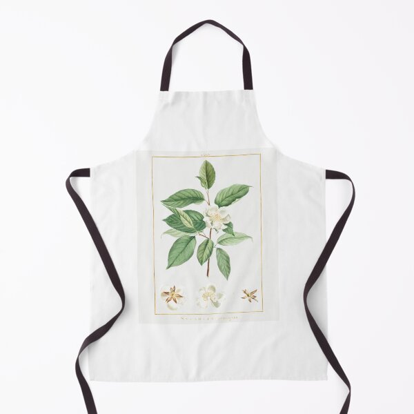 Item preview, Mountain Camellia Flowers Botanical Illustration designed and sold by TheRetroArtRoom.