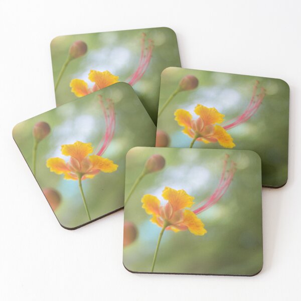 Item preview, Peacock Flower or Pride of Barbados designed and sold by ROSE ANN BANILAR.