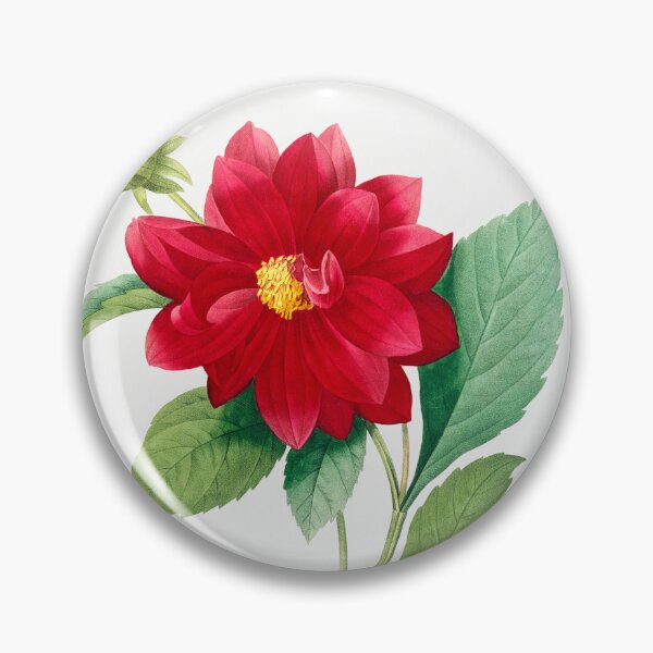 Item preview, Dahlia Flowers Botanical Illustration designed and sold by TheRetroArtRoom.