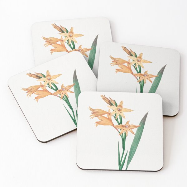 Aperçu de l'œuvre Illustration botanique de fleurs de glaïeul créée et vendue par TheRetroArtRoom.