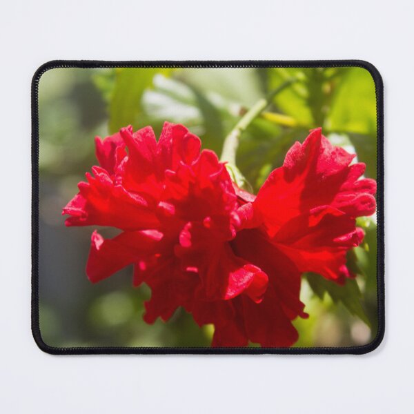 Item preview, Small Red Hibiscus designed and sold by ROSE ANN BANILAR.