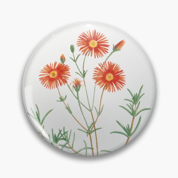 Item preview, Mesembryanthemum Flowers Botanical Illustration designed and sold by TheRetroArtRoom.