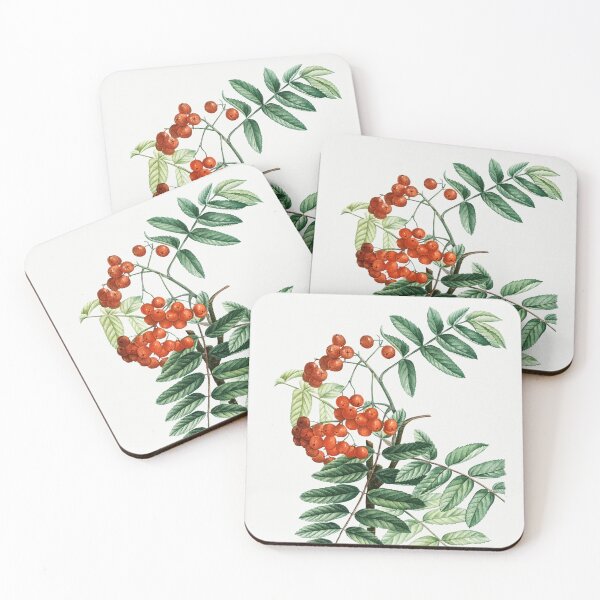 Item preview, Mountain Ash Botanical Illustration designed and sold by TheRetroArtRoom.