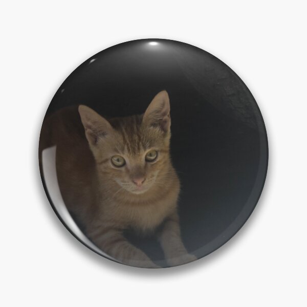 Item preview, Orange Kitten designed and sold by ROSE ANN BANILAR.