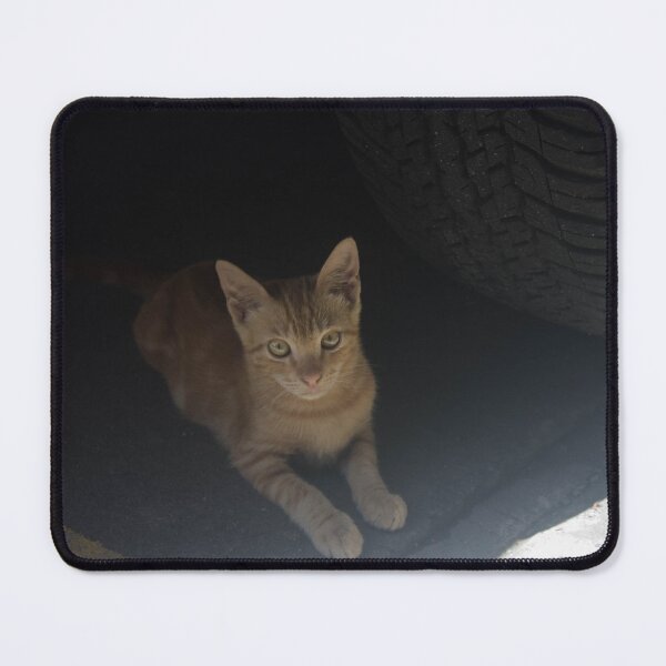 Item preview, Orange Kitten designed and sold by ROSE ANN BANILAR.