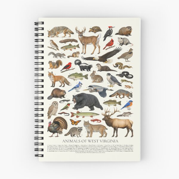 Item preview, Animals of West Virginia Retro Style Identification Chart designed and sold by kakarikihill.