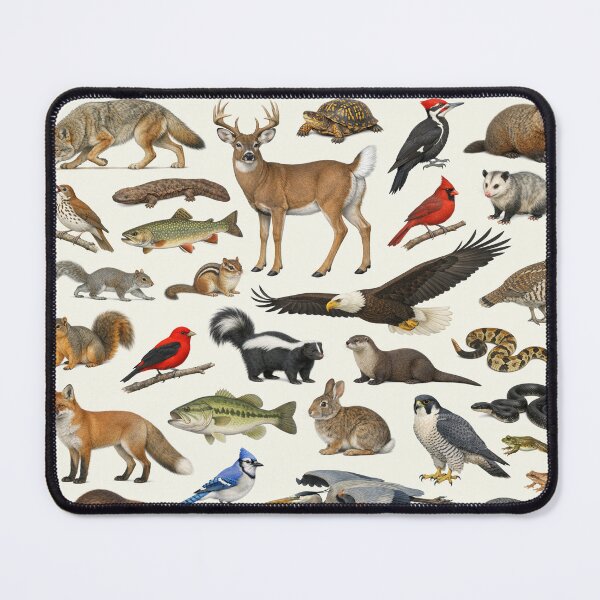 Item preview, Animals of West Virginia Retro Style Identification Chart designed and sold by kakarikihill.