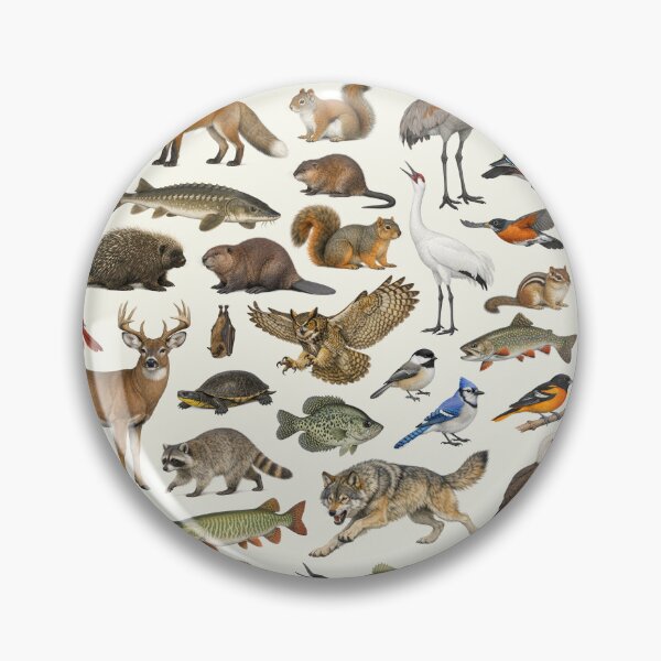 Item preview, Animals of Wisconsin Retro Style Identification Chart designed and sold by kakarikihill.