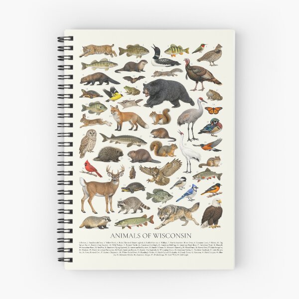 Item preview, Animals of Wisconsin Retro Style Identification Chart designed and sold by kakarikihill.