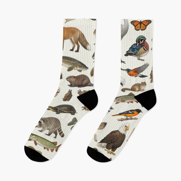 Item preview, Animals of Wisconsin Retro Style Identification Chart designed and sold by kakarikihill.