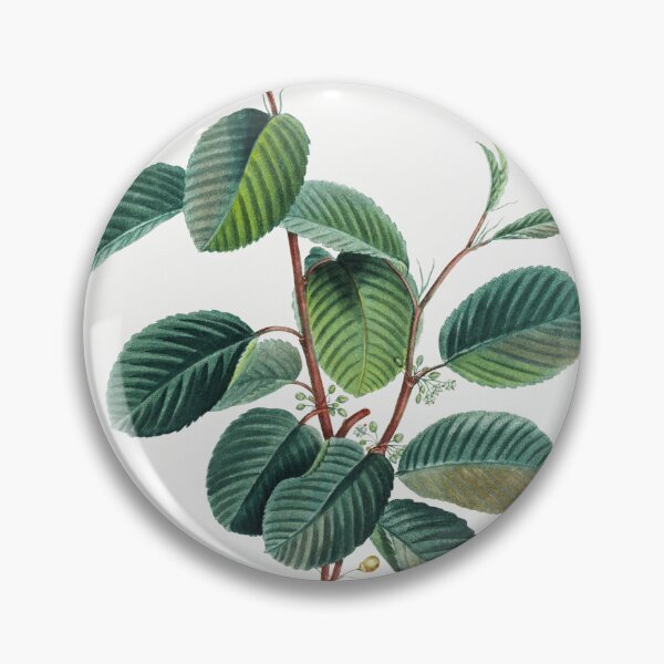 Item preview, Alpine Buckthorn Botanical Illustration designed and sold by TheRetroArtRoom.