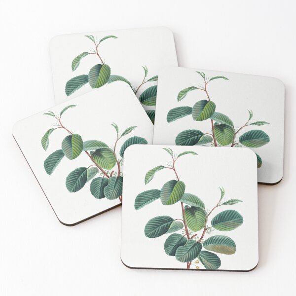 Item preview, Alpine Buckthorn Botanical Illustration designed and sold by TheRetroArtRoom.