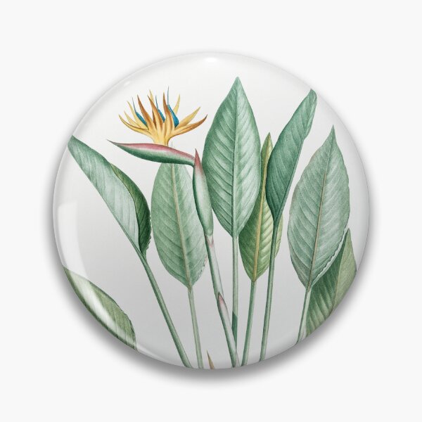 Item preview, Bird of Paradise Botanical Illustration designed and sold by TheRetroArtRoom.