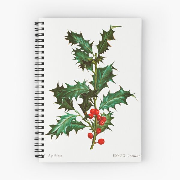 Item preview, Common Holly Botanical Illustration designed and sold by TheRetroArtRoom.