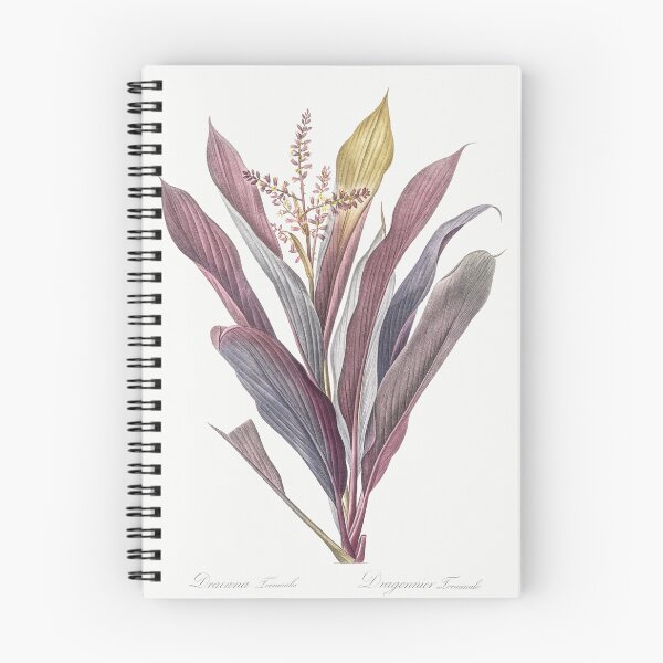 Item preview, Ti Cordyline Fruticosa Botanical Illustration designed and sold by TheRetroArtRoom.