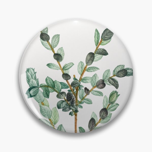Item preview, Creeping Willow Botanical Illustration designed and sold by TheRetroArtRoom.