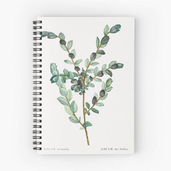 Item preview, Creeping Willow Botanical Illustration designed and sold by TheRetroArtRoom.