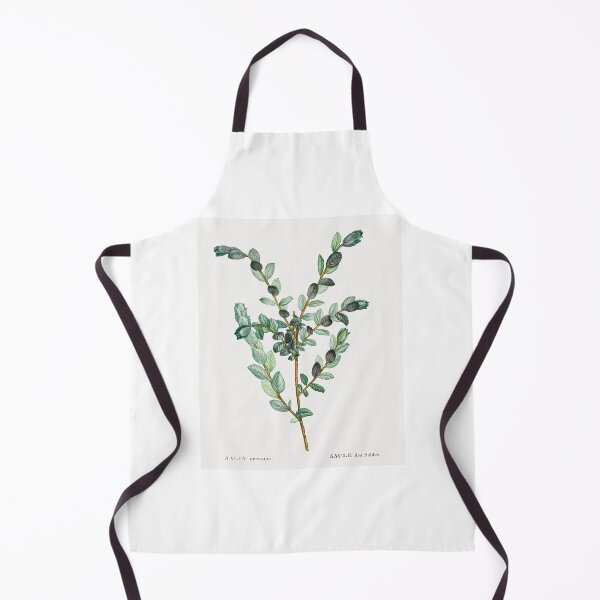 Item preview, Creeping Willow Botanical Illustration designed and sold by TheRetroArtRoom.